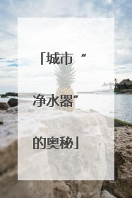 城市“净水器”的奥秘