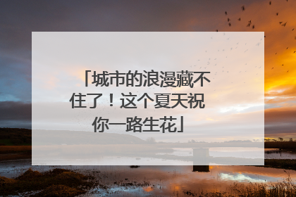 城市的浪漫藏不住了！这个夏天祝你一路生花