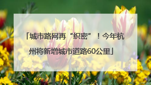 城市路网再“织密”！今年杭州将新增城市道路60公里
