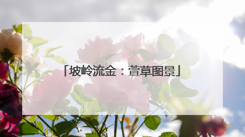 坡岭流金：萱草图景