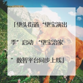 垡头街道“垡宝演出季”启动 “垡宝治家”数智平台同步上线