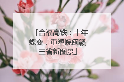合福高铁：十年蝶变，重塑皖闽赣三省新图景