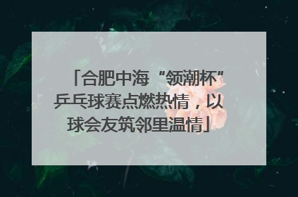 合肥中海“领潮杯”乒乓球赛点燃热情，以球会友筑邻里温情