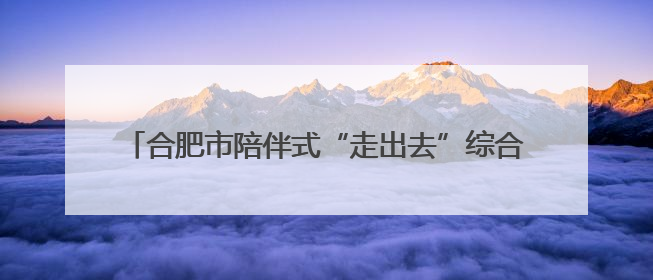 合肥市陪伴式“走出去”综合服务专窗护航企业扬帆出海