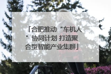 合肥推动“车机人”协同计划 打造聚合型智能产业集群