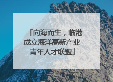 向海而生，临港成立海洋高新产业青年人才联盟