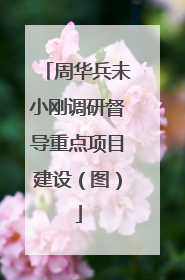 周华兵未小刚调研督导重点项目建设（图）