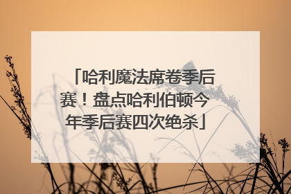 哈利魔法席卷季后赛！盘点哈利伯顿今年季后赛四次绝杀