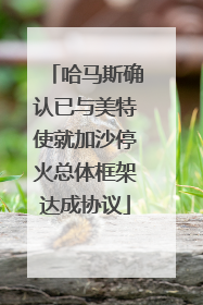 哈马斯确认已与美特使就加沙停火总体框架达成协议