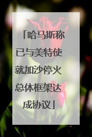 哈马斯称已与美特使就加沙停火总体框架达成协议