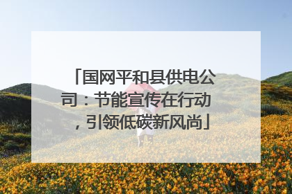 国网平和县供电公司：节能宣传在行动，引领低碳新风尚