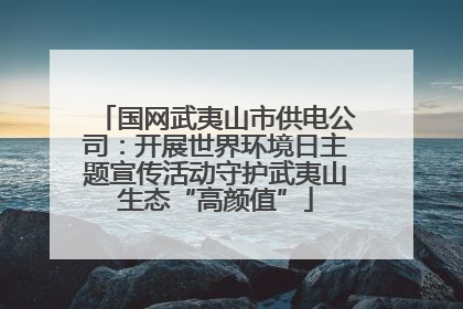 国网武夷山市供电公司：开展世界环境日主题宣传活动守护武夷山生态“高颜值”