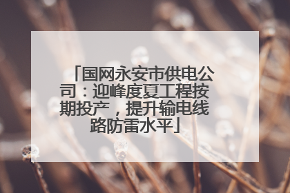 国网永安市供电公司：迎峰度夏工程按期投产，提升输电线路防雷水平