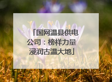 国网温县供电公司：榜样力量浸润古温大地