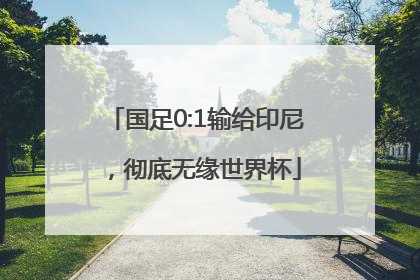 国足0:1输给印尼，彻底无缘世界杯