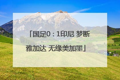 国足0∶1印尼 梦断雅加达 无缘美加墨