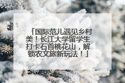国际范儿遇见乡村美！长江大学留学生打卡石首桃花山，解锁农文旅新玩法！