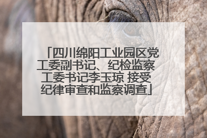 四川绵阳工业园区党工委副书记、纪检监察工委书记李玉琼 接受纪律审查和监察调查