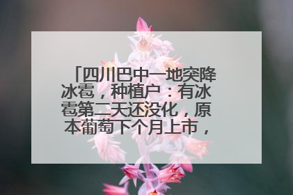四川巴中一地突降冰雹，种植户：有冰雹第二天还没化，原本葡萄下个月上市，现在全被打落