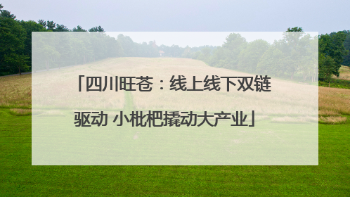 四川旺苍：线上线下双链驱动 小枇杷撬动大产业