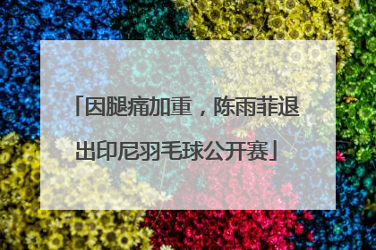 因腿痛加重，陈雨菲退出印尼羽毛球公开赛