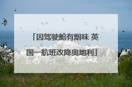 因驾驶舱有烟味 英国一航班改降奥地利