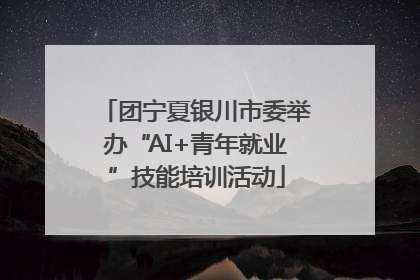 团宁夏银川市委举办“AI+青年就业”技能培训活动