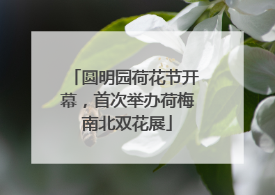 圆明园荷花节开幕，首次举办荷梅南北双花展