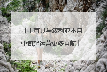 土耳其与叙利亚本月中旬起运营更多直航