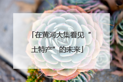 在黄河大集看见“土特产”的未来
