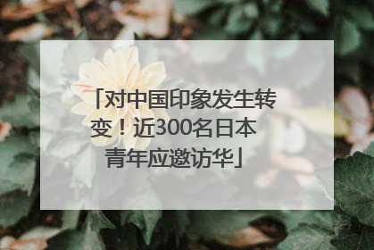 对中国印象发生转变！近300名日本青年应邀访华