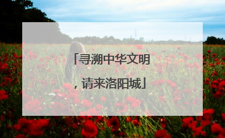 寻溯中华文明，请来洛阳城