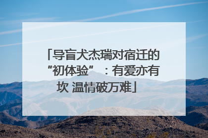 导盲犬杰瑞对宿迁的“初体验”：有爱亦有坎 温情破万难