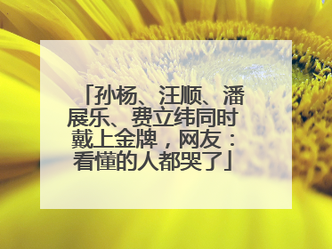孙杨、汪顺、潘展乐、费立纬同时戴上金牌，网友：看懂的人都哭了