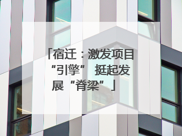 宿迁：激发项目“引擎” 挺起发展“脊梁”