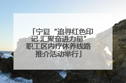 宁夏“追寻红色印记 汇聚奋进力量”职工区内疗休养线路推介活动举行