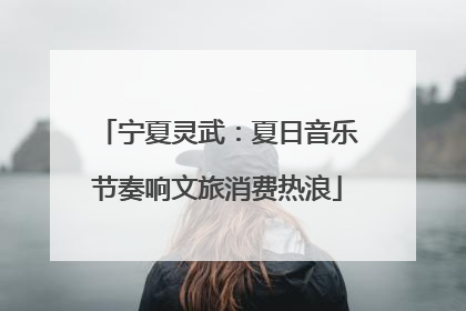 宁夏灵武：夏日音乐节奏响文旅消费热浪