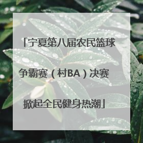 宁夏第八届农民篮球争霸赛（村BA）决赛掀起全民健身热潮