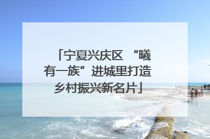 宁夏兴庆区 “曦有一族”进城里打造乡村振兴新名片