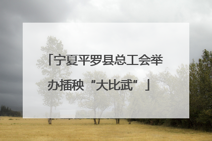 宁夏平罗县总工会举办插秧“大比武”