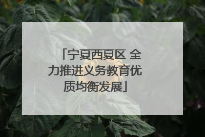 宁夏西夏区 全力推进义务教育优质均衡发展