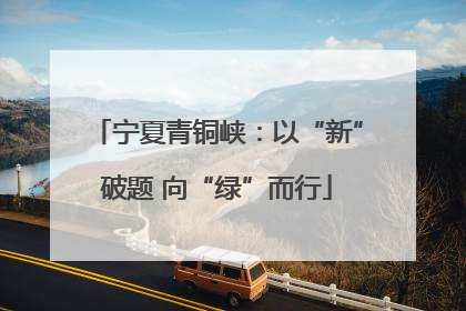 宁夏青铜峡：以“新”破题 向“绿”而行