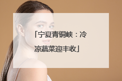 宁夏青铜峡：冷凉蔬菜迎丰收