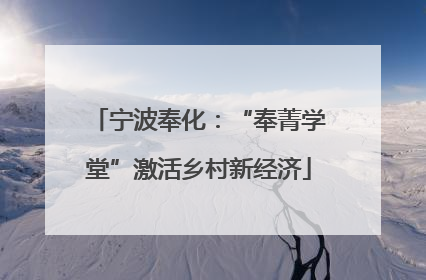 宁波奉化：“奉菁学堂”激活乡村新经济