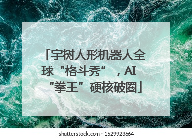 宇树人形机器人全球“格斗秀”，AI“拳王”硬核破圈