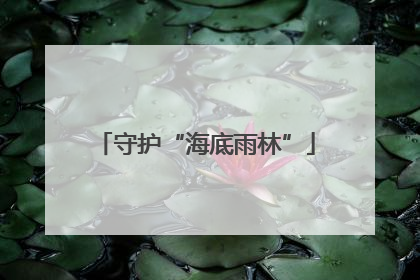 守护“海底雨林”