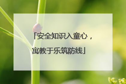 安全知识入童心，寓教于乐筑防线