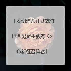安切洛蒂正式就任巴西男足主教练 公布新征召阵容