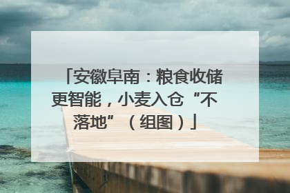 安徽阜南：粮食收储更智能，小麦入仓“不落地”（组图）