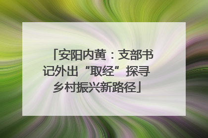 安阳内黄：支部书记外出“取经”探寻乡村振兴新路径